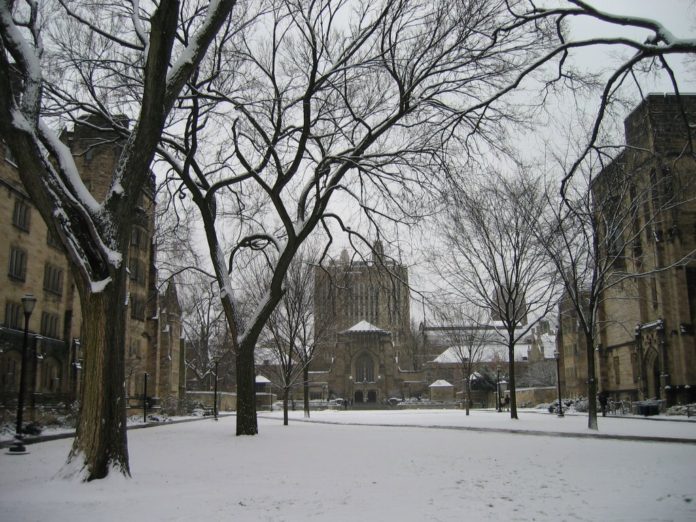 Winter in New Haven