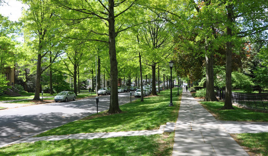 Hillhouse Avenue Between Two Rocks