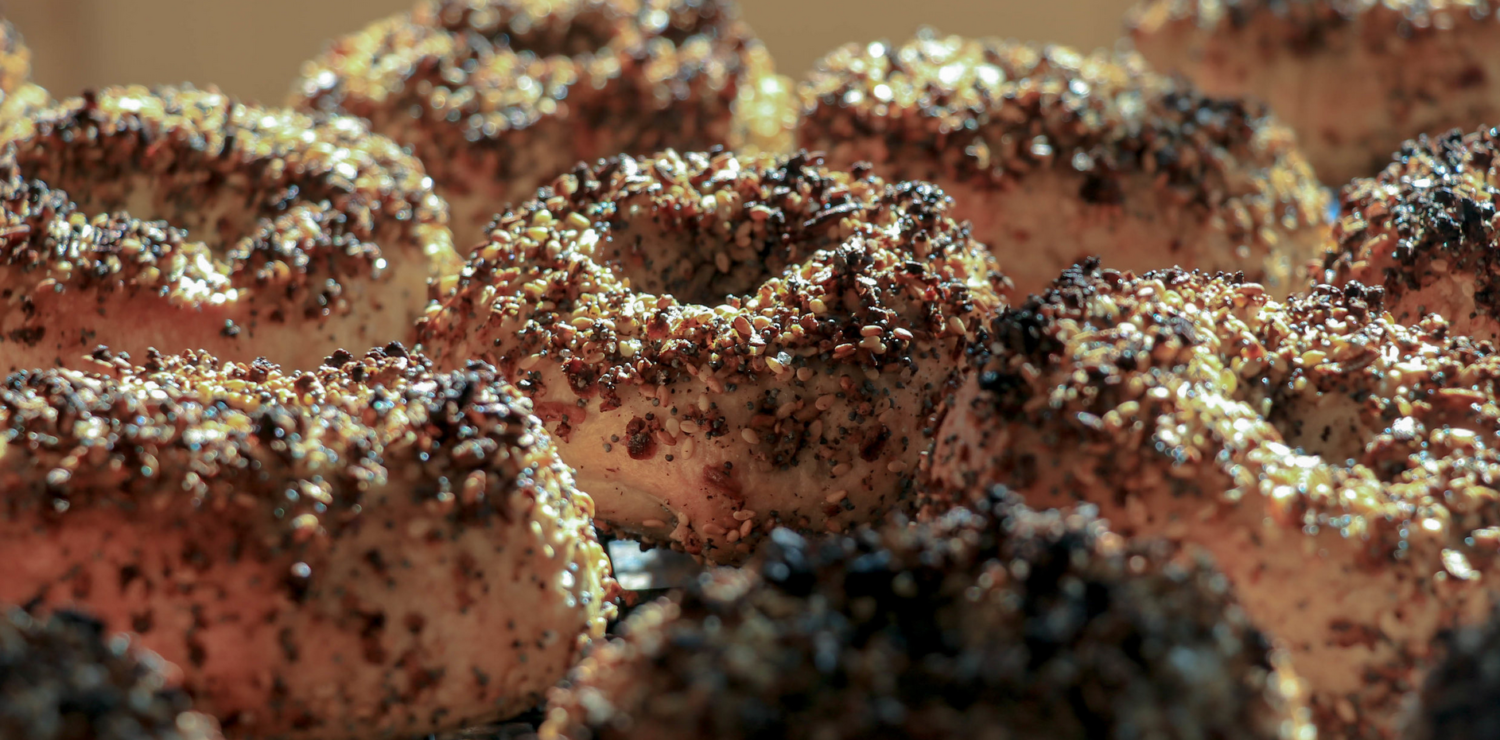Olmo Bagels