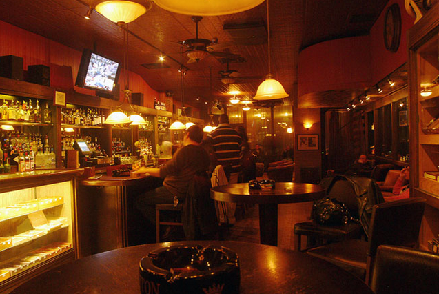 Owl Shop New Haven