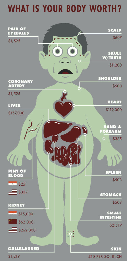 Human Body Organs by Cost