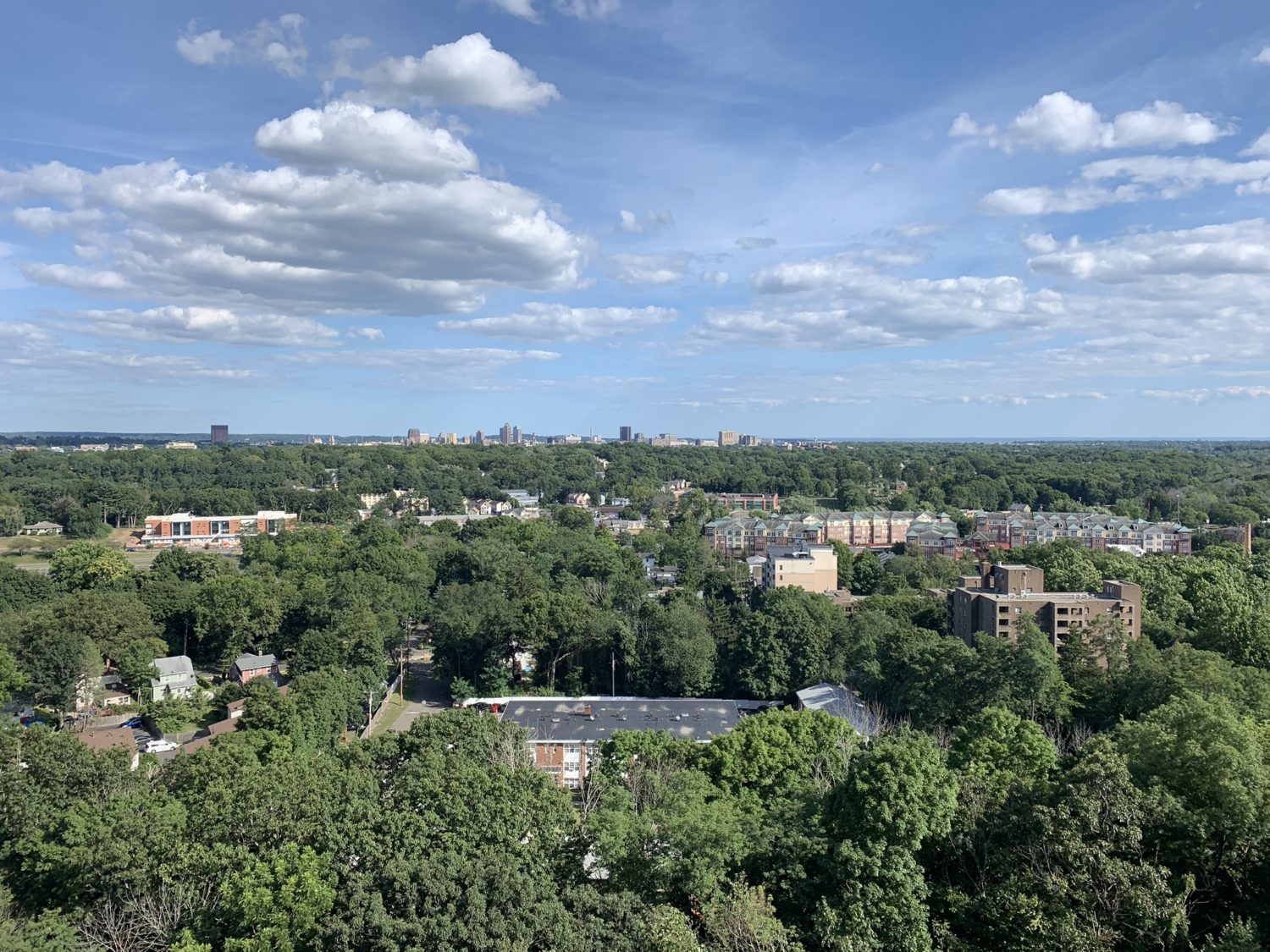 Vista from Red Trail