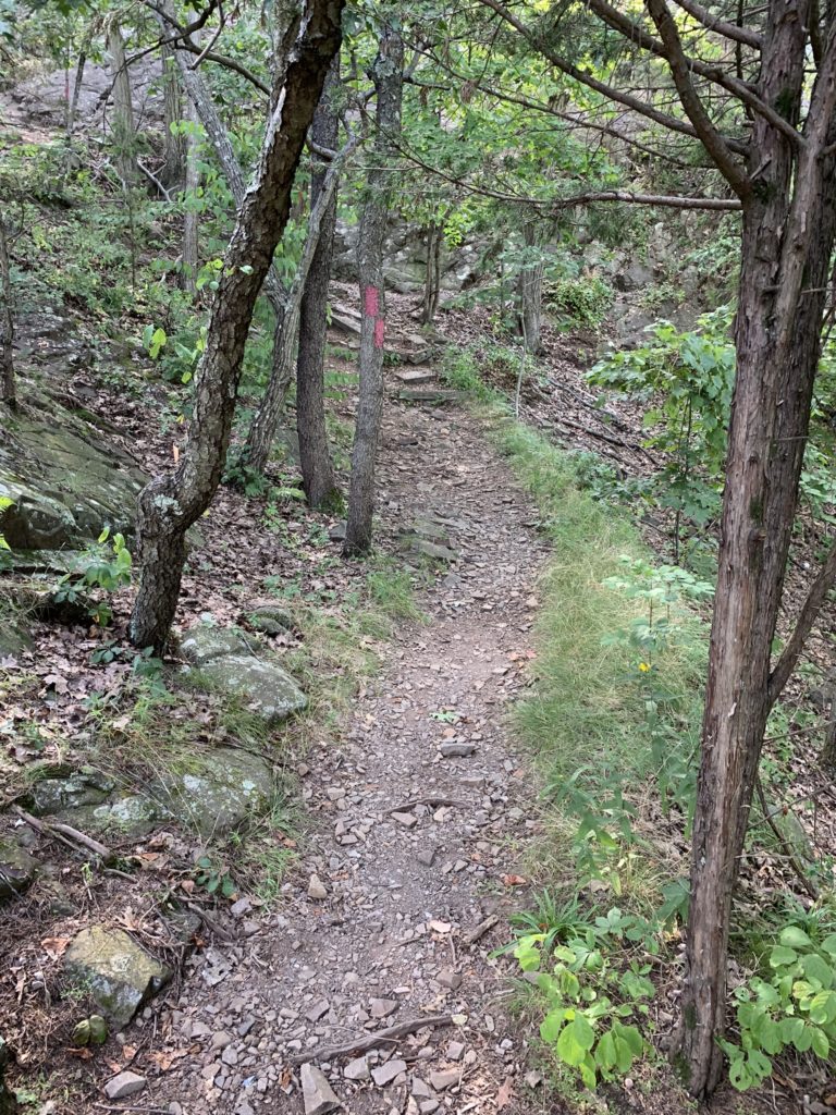Red Trail Keeps Going