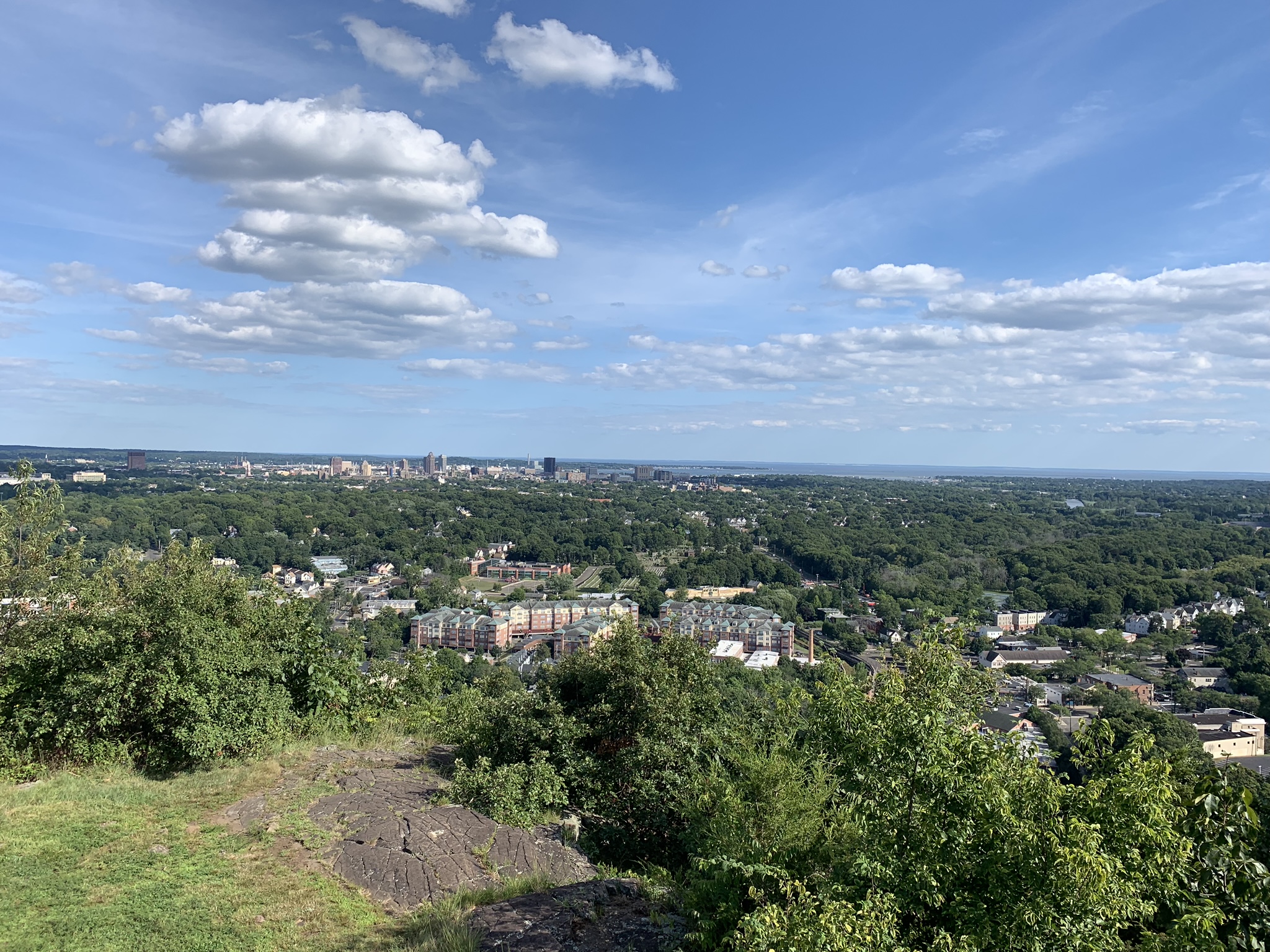 New Haven from West Rock