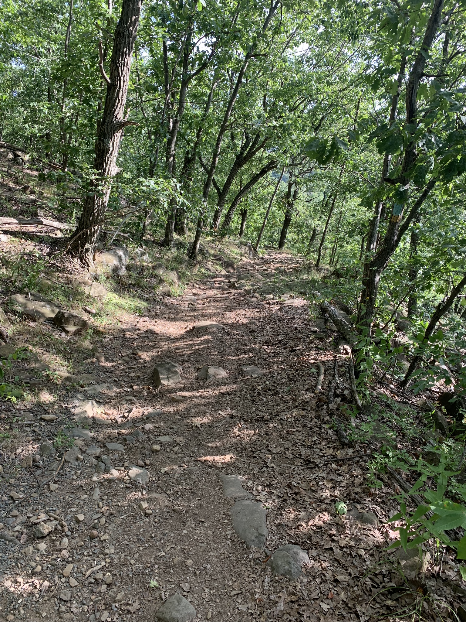 Downhill on Yellow-Blue