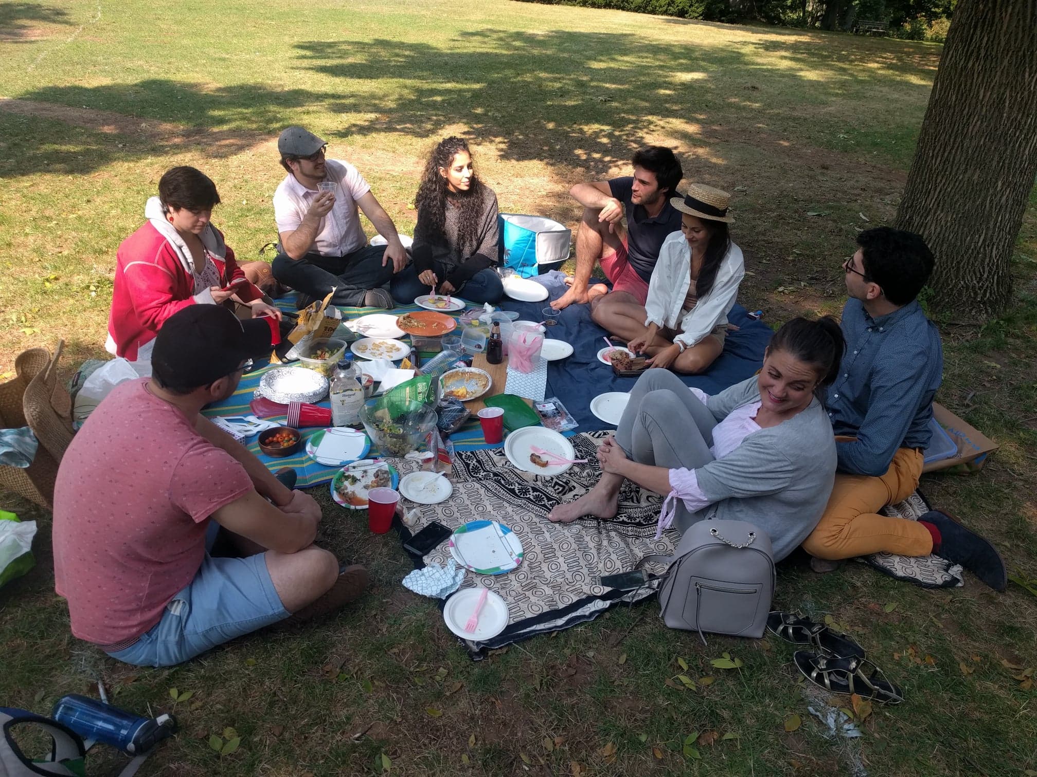 Friends having a picnic