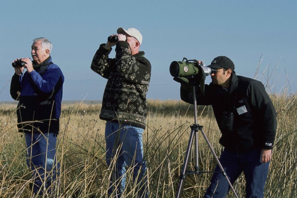 Birding